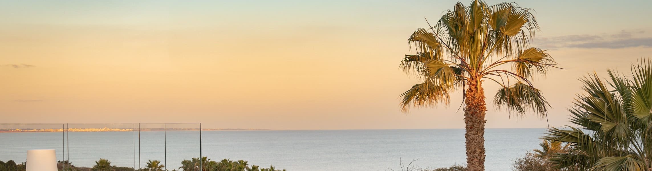 sunset at ocean horizon with palm tree